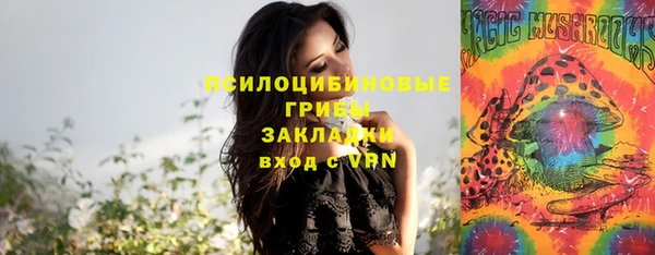 гидра Осташков